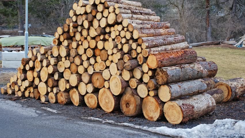 
Stack of Cut Tree Trunk Logs Stored Outdoors