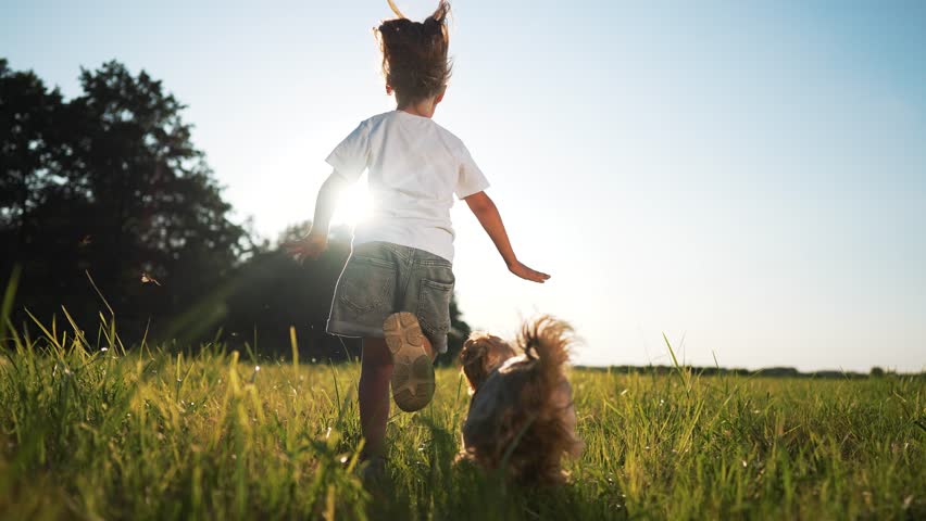 Happy baby girl with dog in park. child with pet run through grass in meadow at sunset. Happy girl with dog run and play in park on grass.Freedom in nature in summer.Dog pet plays with child in nature Royalty-Free Stock Footage #3434379441