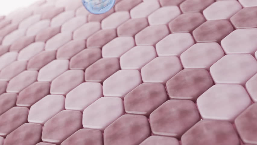 Blue bubble, symbolizing moisturizer, lands on skin cells, creating a wave before absorption. It then nourishes cells, turning skin a healthy pink. 3D rendering. Royalty-Free Stock Footage #3434464483