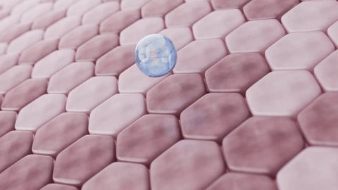 Blue bubble, symbolizing moisturizer, lands on skin cells, creating a wave before absorption. It then nourishes cells, turning skin a healthy pink. 3D rendering.: film stockowy