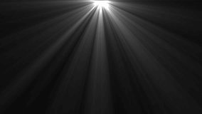White light beams on black background. Light animation. Dynamic light rays. 23,98fps