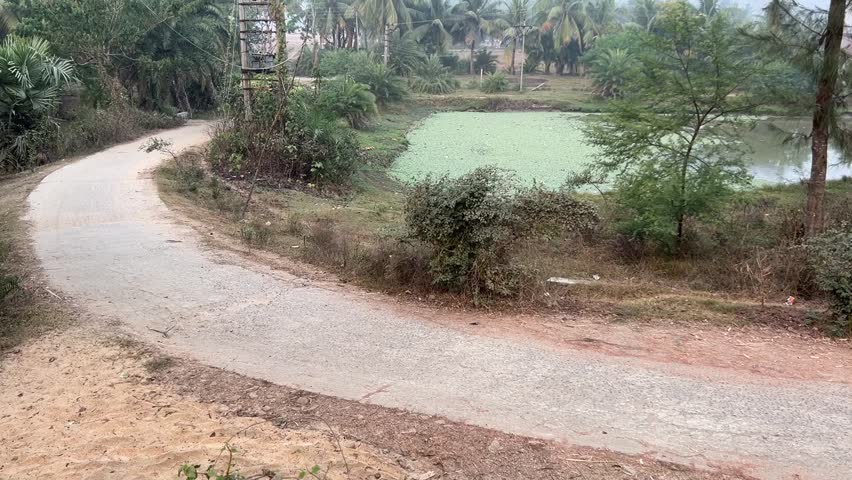 Profile view of an empty curved pathway with a pond filled with algae at a village in Kolkata, India.