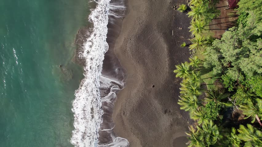 Sandy beach between pristine waters and lush palm forest, Plage de Grande Anse, Guadeloupe, French Caribbean. Aerial top-down backward 
