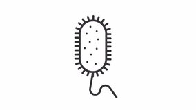 Animated vibrio cholerae icon. Infectious agent line animation. Cholera disease. Contagious illness. Black illustration on white background. HD video with alpha channel. Motion graphic