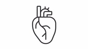 Animated heart icon. Cardiology line animation. Human body part. Anatomical heart icon. Healthcare. Black illustration on white background. HD video with alpha channel. Motion graphic