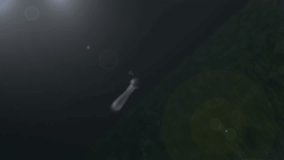 Television footage of baseball bat, score board and two teams of diverse female baseball players on baseball field. sport, active lifestyle, competition, playback. - Powered by Shutterstock - Get 15% off with code: PIKWIZARD15