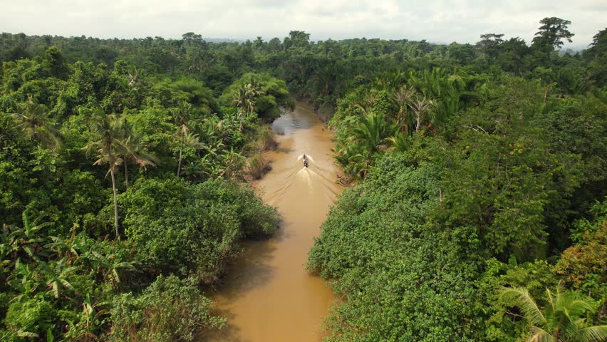 An aerial 4K drone view of a longtail boat sailing down a river in the jungle. The river leads deep into the jungle on the Mentawai Islands in Indonesia.