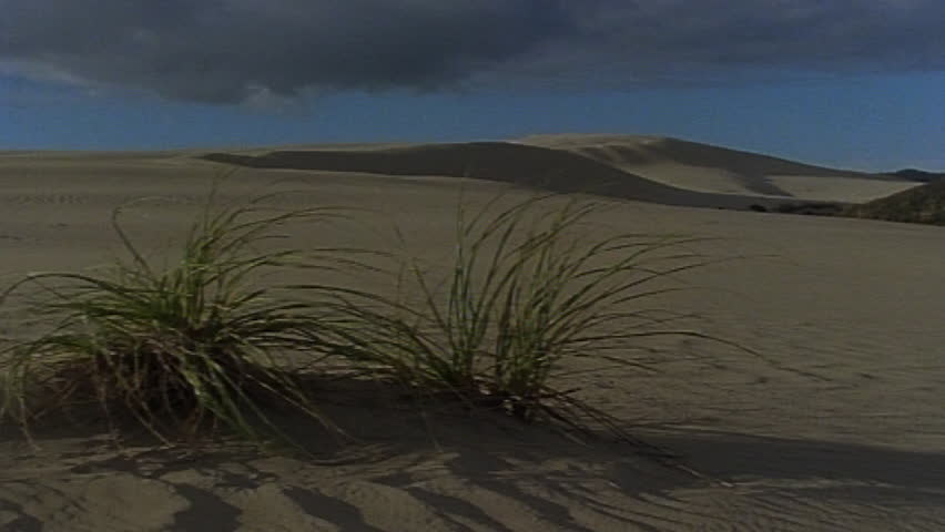 Sand dunes