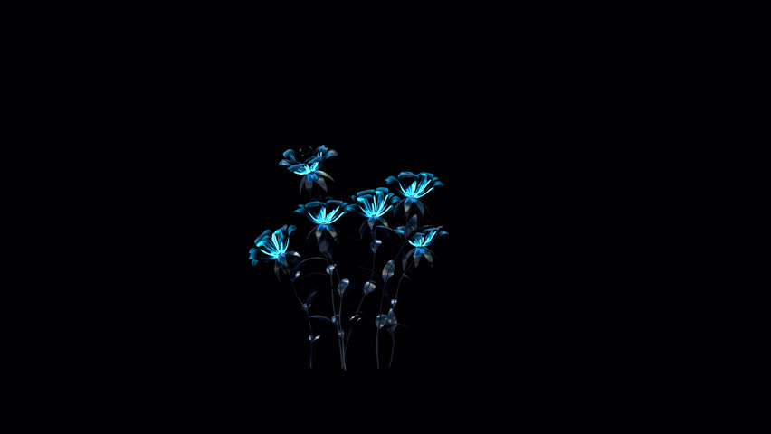 Growing Blue Flowers 3d animation