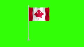 Flag of Canada, Pole flag of Canada on Green screen chroma key, Canada 3D Animation flag waving in the wind isolated on Green Background. 
