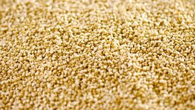 Vibrant 4K Ultra HD Video: Close-Up Dolly Shot of Fresh Quinoa | Wholesome Superfood in Exquisite Detail