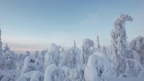 Winter Wonderland Landscape with Huge Snow Covered Trees in Lapland, Finland, Arctic Circle - Powered by Shutterstock - Get 15% off with code: PIKWIZARD15