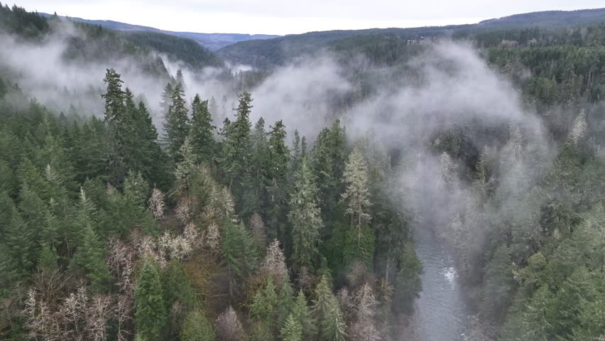 Mist drifts above the Molalla River flowing through the scenic Molalla River Valley, Oregon, home to extensive forests, beautiful hiking, biking, and equestrian trails.