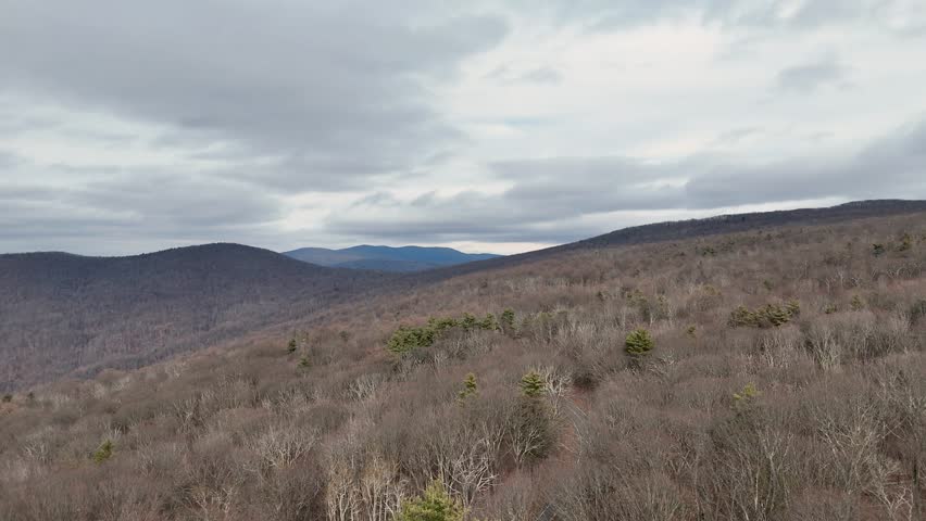 Aerial view of forest and roads at Shenandoah National Park
