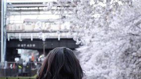 NAKAMEGURO, TOKYO, JAPAN - APR 2022 : Cherry blossoms at Meguro river and unidentified people. Japanese spring season concept video. Slow motion shot.