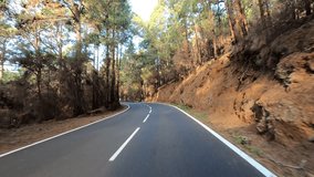 Driving along the road along the forest. POV shot from a camera driving through beautiful empty road. Concept of transport and driving point of view. Mountain travel journey. Trees and sky in nature