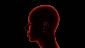 Stylized 3D Human head rotates 360 degree on black background. 4k Loop. Matte Background included. - Powered by Shutterstock - Get 15% off with code: PIKWIZARD15