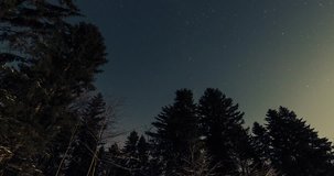 starry sky in the winter forest timelapse video