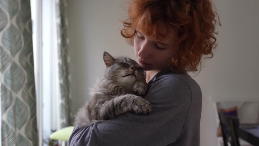 funny red-haired teenage girl holds pet in arms, hugs and kisses purring Maine Coon cat. Friendship between pet and its owner, Cat Moms Royalty-Free Stock Footage #3436426281