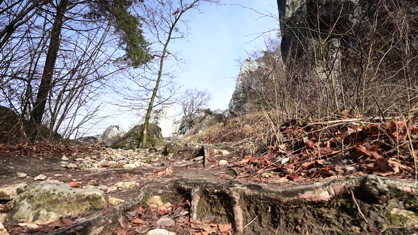 A narrow hiking trail among limestone rocks in the low mountains, mountain vegetation, roots