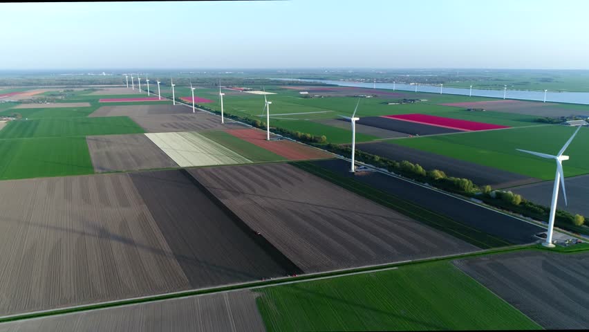 Aerial drone footage of wind turbines and tulip fields in background showing the blades of the energy converter is a device that converts the winds kinetic power into electrical electricity 4ks Royalty-Free Stock Footage #3436546017