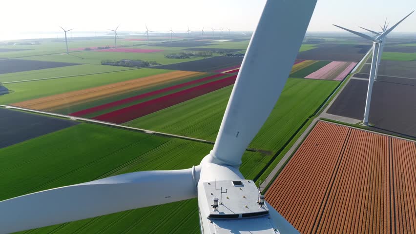 Aerial close up footage of wind turbine and tulip fields in background showing the blades of the energy converter is a device that converts the winds kinetic power into electrical electricity 4k Royalty-Free Stock Footage #3436562097