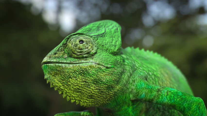 Close up of a chameleon changing colors. 3D animation. Royalty-Free Stock Footage #3436681427