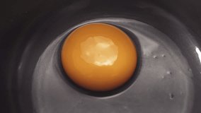 Close up of a yolk. Egg yolk moves inside dark shiny bowl.