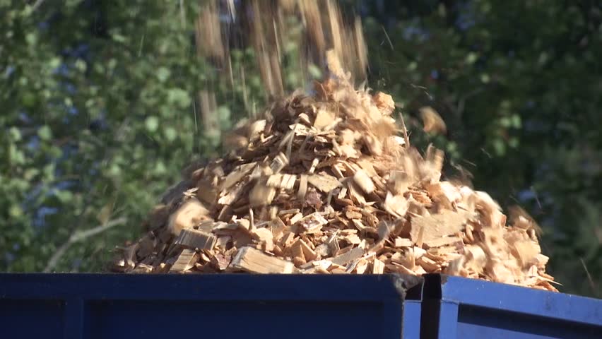 the sawdust conveyor works at a woodworking plant. production waste is dumped in a large pile. lumber remnants. Production of wood chips, stocks for shipment