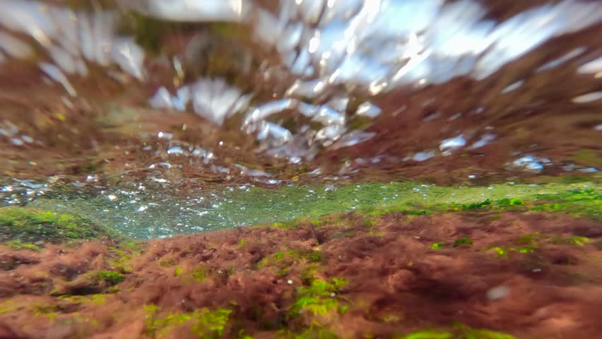 Rapid flow of water towards over algae in shallow water