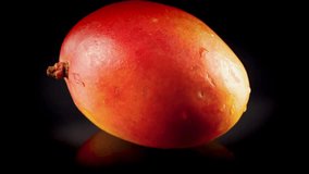 Wet juicy mango with delectable water droplets on juicy red skin spins in slow motion on black background - Powered by Shutterstock - Get 15% off with code: PIKWIZARD15