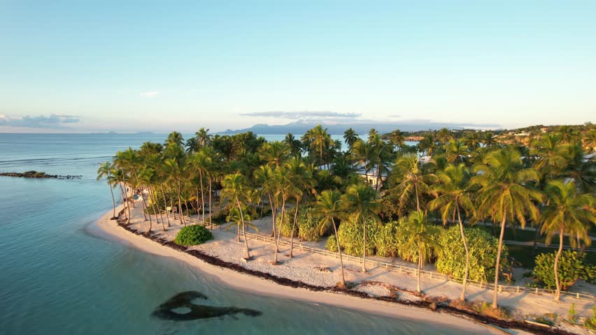 Palm Trees And Houses At Caravelle Beach In Sainte-Anne, Guadeloupe, France. aerial flyby shot