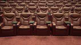Empty cinema. Empty comfortable brown seats.