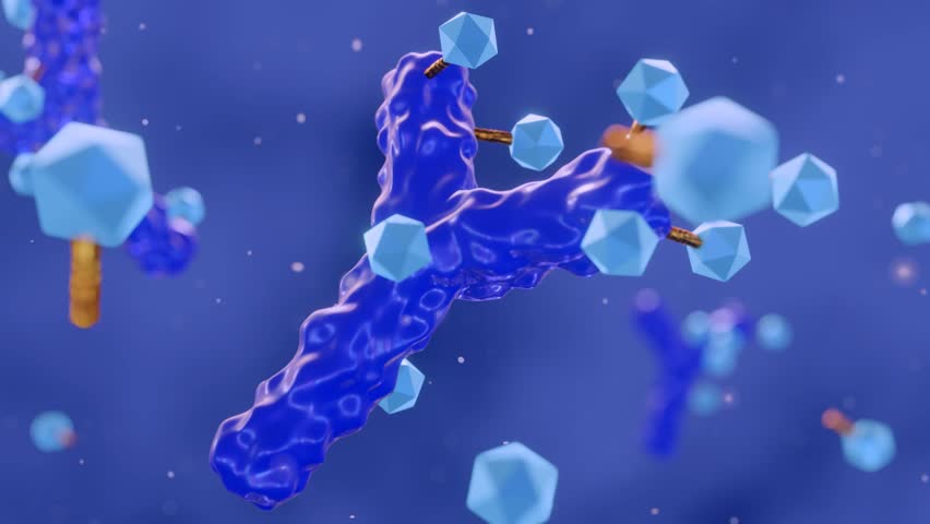 3d animation of Antibody drug conjugated with cytotoxic payload.  antibody linked to a biologically active cytotoxic (anticancer) payload or drug 