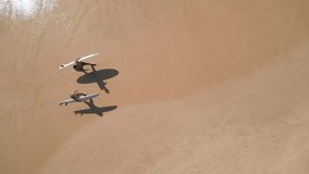 Aerial top view of surfers couple walking on sandy beach with surfboards by ocean waves. Drone flying over two people carrying boards along sea surf. View from above of young man, woman after session. - Powered by Shutterstock - Get 15% off with code: PIKWIZARD15