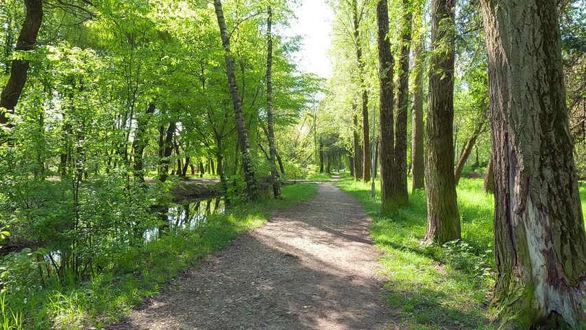 Promenade on the shore of Seret river. Fresh green view of Topilche Park with empty alley, Ternopil, Ukraine. Beauty of nature concept background. 4K video (Ultra High Definition).