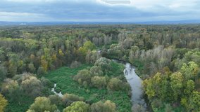 Floodplain river delta autumn fall color meander drone aerial inland video shot in sandy sand alluvium, benches forest and lowlands wetland swamp, quadcopter view flying fly flight show