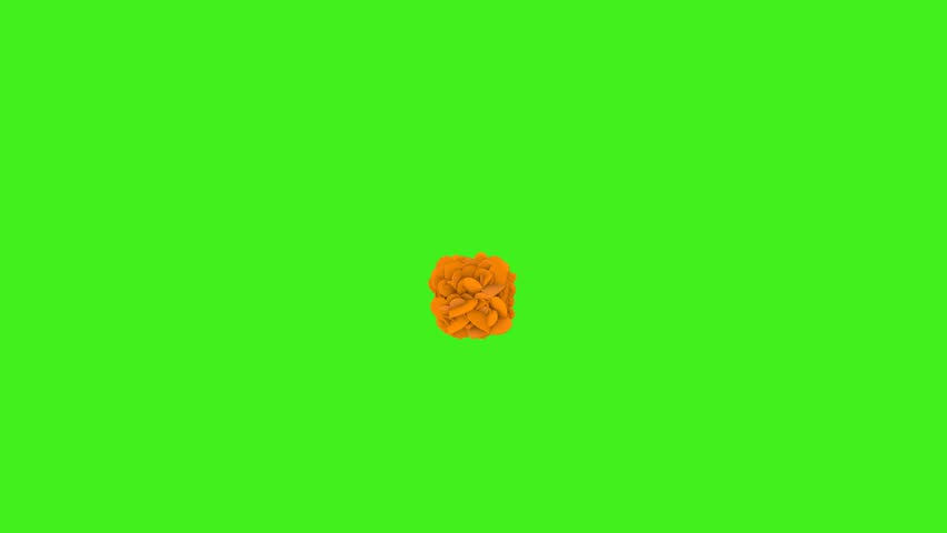 Explosion of orange hearts on green screen. Heart confetti. Festive effect for Valentine's Day. 3D animation Royalty-Free Stock Footage #3437859761