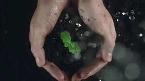 Woman hands holding green seedling. Water drops falling on a sprout leaves over soil in slow motion. New eco life and waste concept. Plastic free. Earth day. ESG nature environment save. Top view - Powered by Shutterstock - Get 15% off with code: PIKWIZARD15