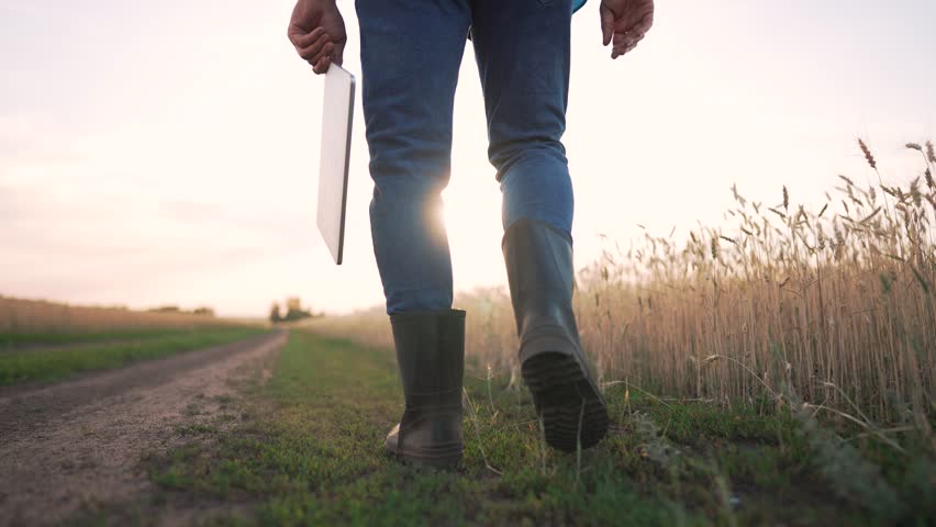 Agriculture concept. close-up of a farmer in boots with a tablet. agronomist on an agricultural wheat field. farmer inspects the plantation. agronomist working with laptop on agricultural wheat field Royalty-Free Stock Footage #3437968815