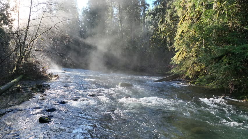 Morning sunlight illuminates mist on Eagle Creek as it flows through a beautiful Oregon forest. The many watersheds throughout the Pacific Northwest are vital habitats for native fish.