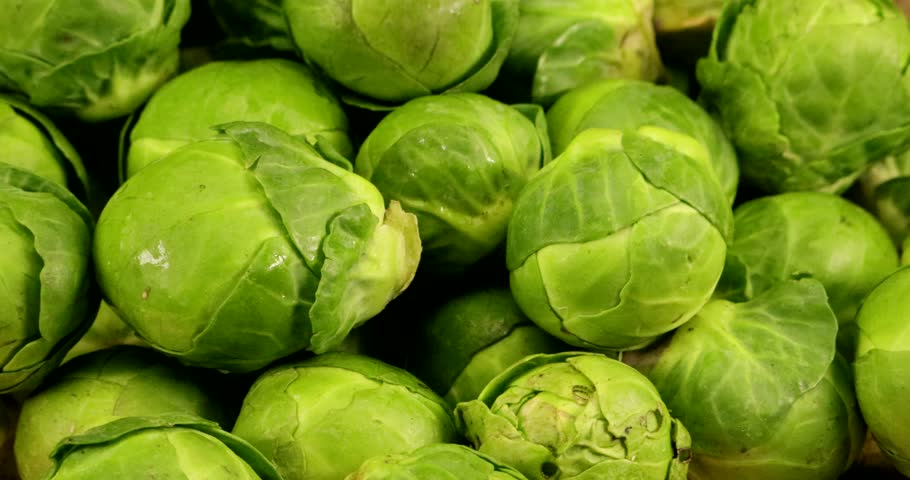 Fresh green Brussels sprouts are a vegetable and variety of vegetable cabbage from the cruciferous plant family Royalty-Free Stock Footage #3438083779