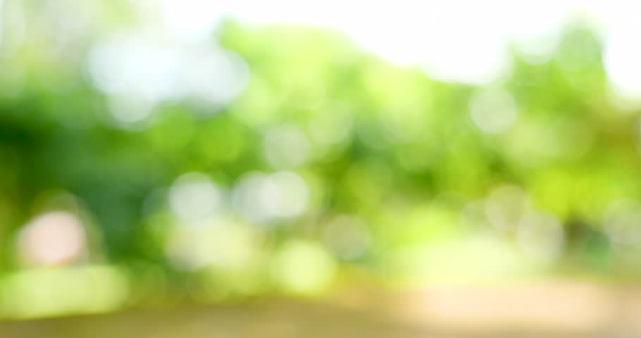 Blur background green park garden nature bright sunny forest. Blurry outdoor park in spring time glowing shinny day template with sunlight bokeh. Abstract blurred background banner copy space.