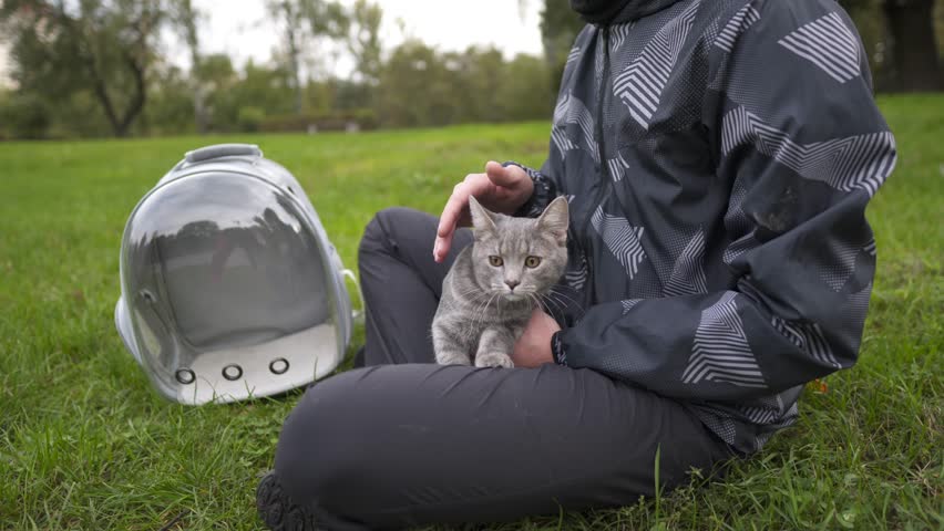 Having time outdoors with domestic cat. House cat carried to garden in animal carrier, transparent bag transfer feline. Owner stroking cat in nature. Bubble backpack animal carrier, traveling with pet Royalty-Free Stock Footage #3438239493
