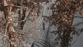 People are walking along the path between the snowdrifts in the yard of the house. There are trees covered in snow all around. - Powered by Shutterstock - Get 15% off with code: PIKWIZARD15
