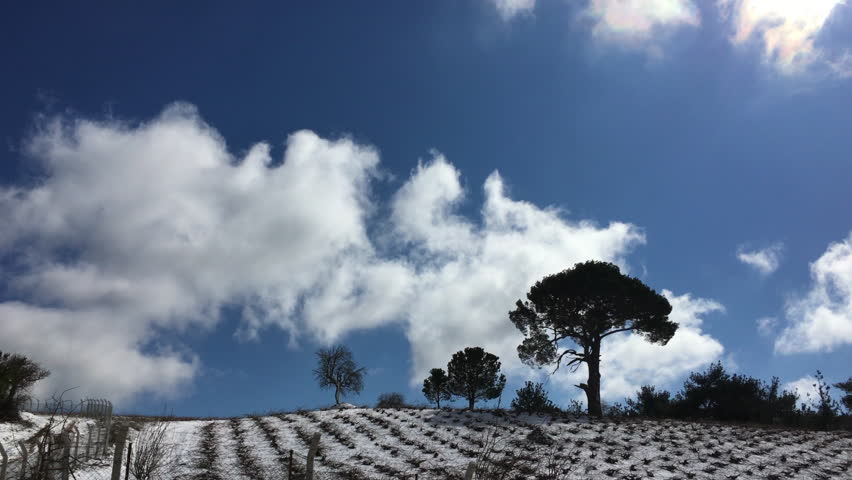 Winter landscape in a windy day