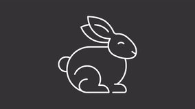 Animated rabbit white icon. Symbol of easter line animation. Cute hare. Rabbit cottontail. Spring celebration mascot. Isolated illustration on dark background. Transition alpha video. Motion graphic