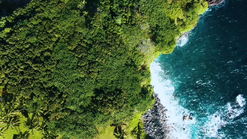 Topdown view along lush Vegetation with turquoise water from Waioka Pond, Hawaii. USA Royalty-Free Stock Footage #3438501573