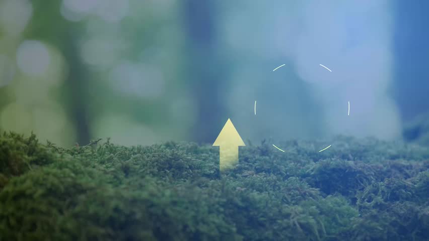 Cg footage on the background of green moss and blurred sun glare moving symbols of environmental themes Royalty-Free Stock Footage #3438513119