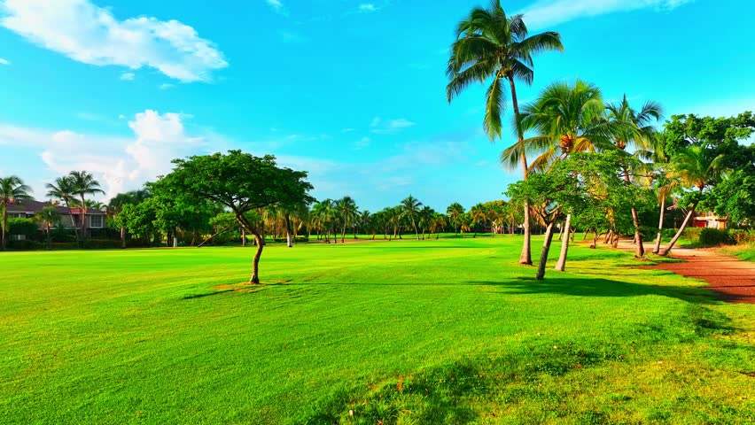 Morning walk in the park along a green grassy field on the side of the golf course. Sunlight and torch lantern concept. Active type of recreation. Landscape fairway with trees and green grass field.